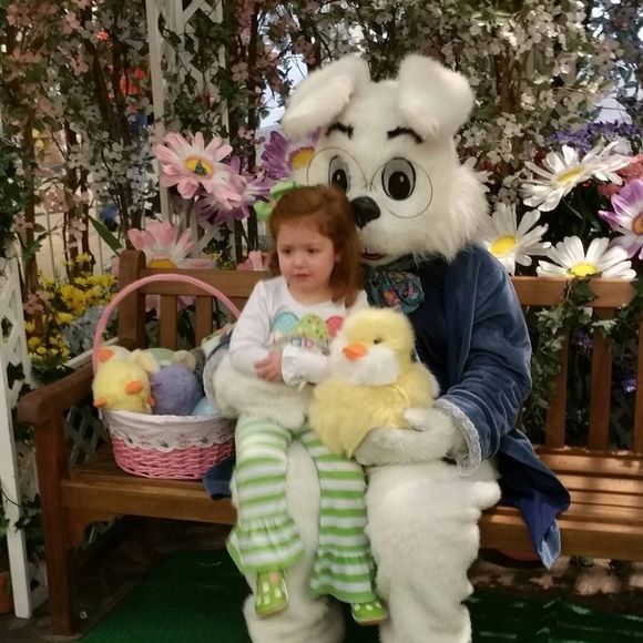 Meet your Posher, Donna - Picture 1 of 1