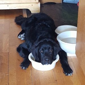 Meet your Posher, Katy