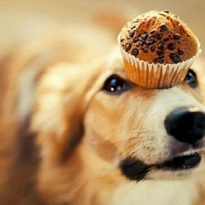 Meet your Posher, Emely