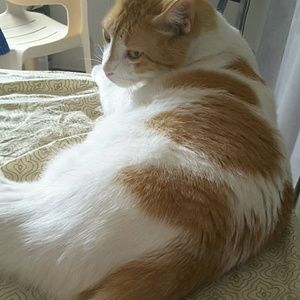 Meet your Posher, William