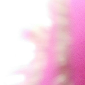 Meet your Posher, Alexus