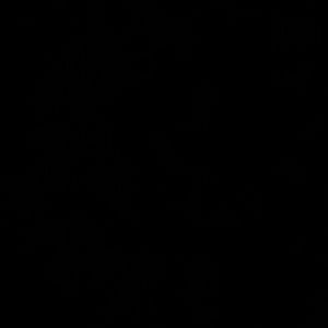 Meet your Posher, Kenzie