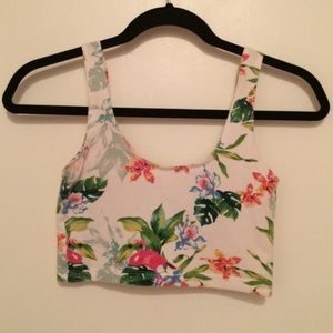 American Apparel Crop Top