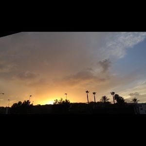 Meet your Posher, Claire