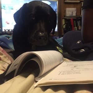 Meet your Posher, Benjamin