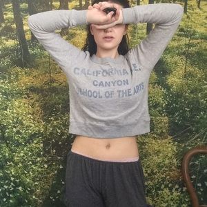 Urban Outfitters Cropped Sweatshirt