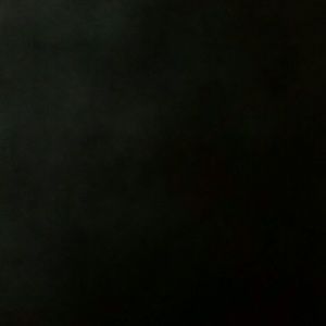 Meet your Posher, Adrienne