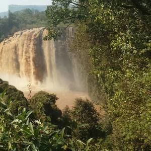 Meet your Posher, Rahel