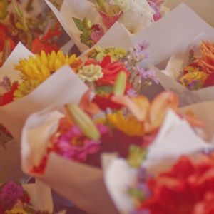 Meet your Posher, Emma