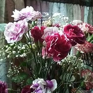 Meet your Posher, Aida