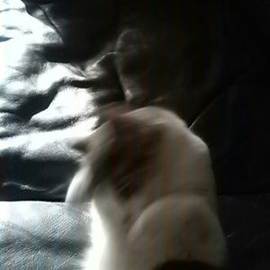 Meet your Posher, Lydia