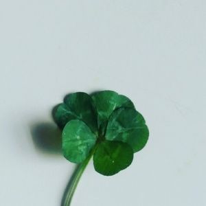 Meet your Posher, Mandy