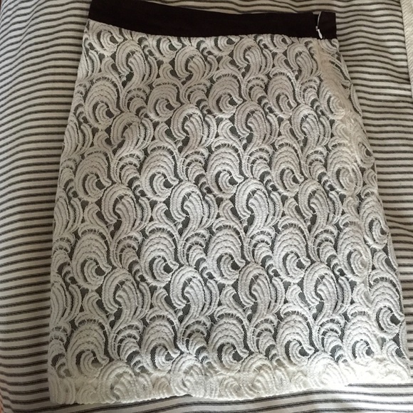 Francesca's Collections Dresses & Skirts - Lined lace banded skirt