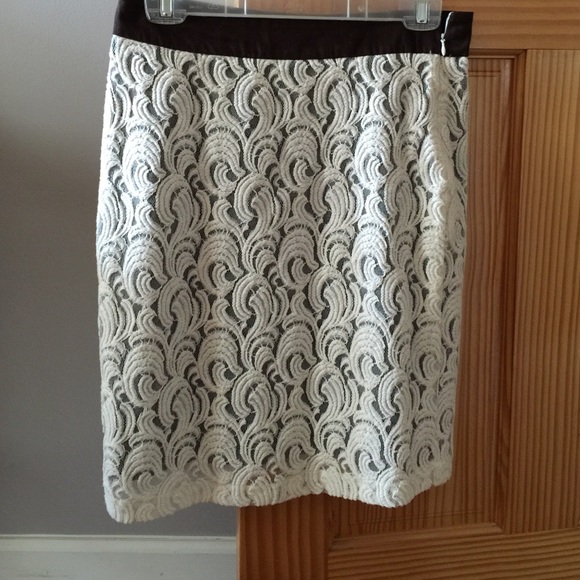 Lined lace banded skirt - Picture 3 of 4