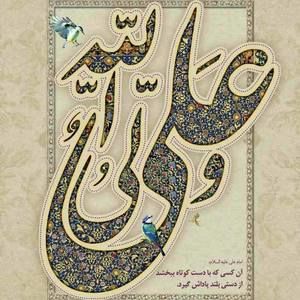 Meet your Posher, Amir mohammad