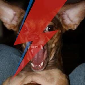 Meet your Posher, Lindsay