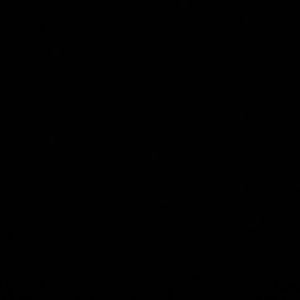 Meet your Posher, Lisha