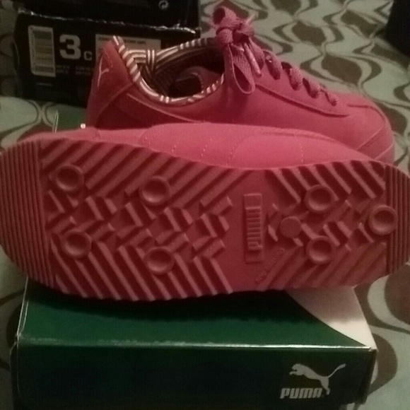 Pumas - Picture 2 of 3
