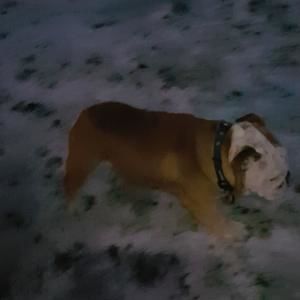 Meet your Posher, Jay