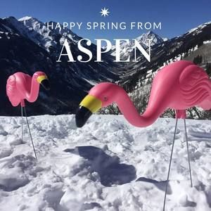 Meet your Posher, Marie