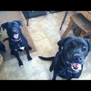 Meet your Posher, Abi