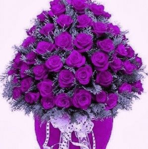 Meet your Posher, Griselda