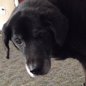 Meet your Posher, Jillian