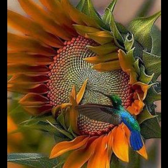 Meet your Posher, Sandy - Picture 2 of 2