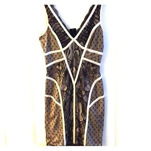 Bebe lace cocktail dress