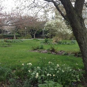 Meet your Posher, Julia