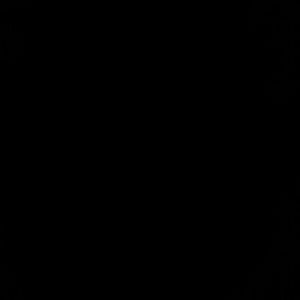 Meet your Posher, Adriana