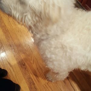 Meet your Posher, Kris