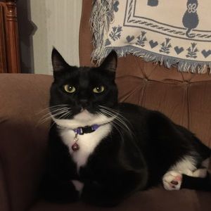Meet your Posher, Kathy