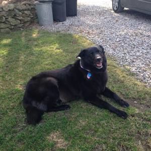 Meet your Posher, Patricia