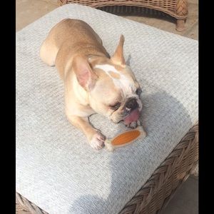 Meet your Posher, Donna