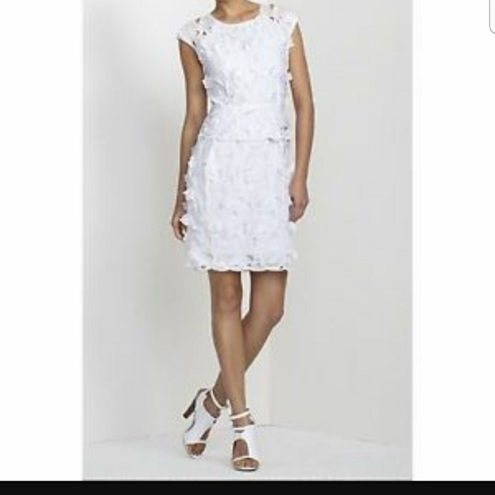 BCBG Maxazria Aveline dress