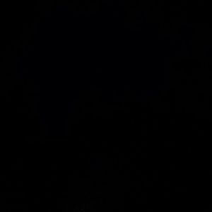 Meet your Posher, Cassandra