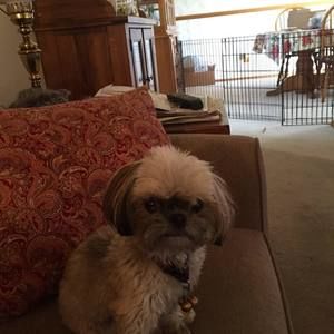 Meet your Posher, Paula