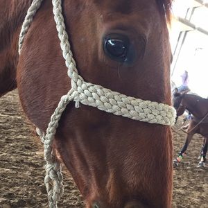 Meet your Posher, Letty