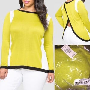 NWT Citronelle Envelope Back Colorblock Sweater