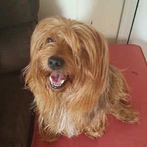 Meet your Posher, Juana