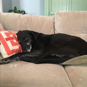 Meet your Posher, Sam