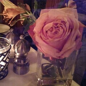 Meet your Posher, Tracy