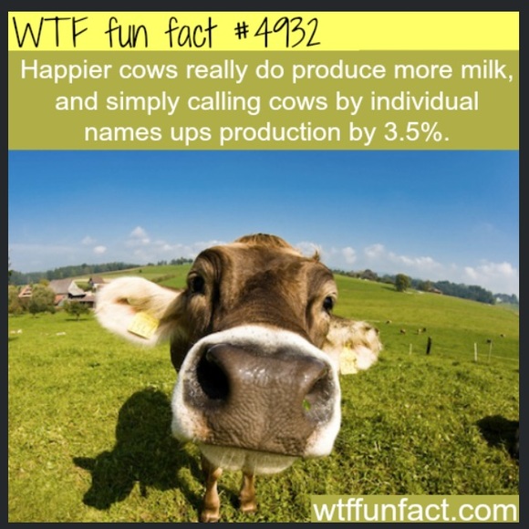 Meet your Posher, Becky - Picture 1 of 1