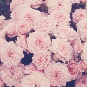 Meet your Posher, Maddy