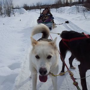 Meet your Posher, Yung