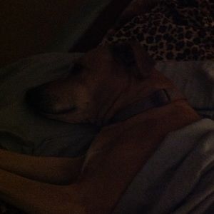 Meet your Posher, Julie