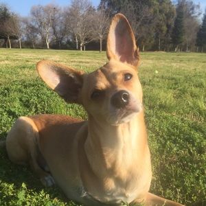 Meet your Posher, Melissa