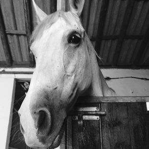 Meet your Posher, Christine