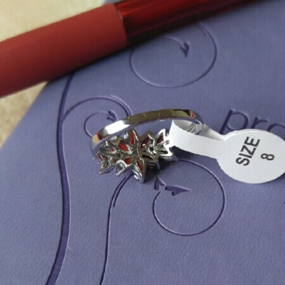 🌾Red Stones Silver🌾 - Picture 3 of 4